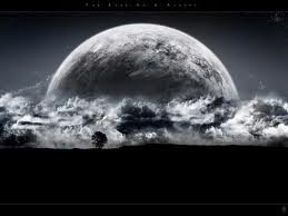 images_276